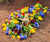 Frühjar 2021.jpg 2.jpg